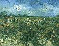 Vincent Van Gogh. The Green Vineyard.