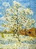 Vincent Van Gogh. Peach Tree in Blossom.