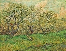 Vincent Van Gogh. Orchard in Blossom.