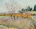 Vincent Van Gogh. Orchard with Peach Trees in Blossom.