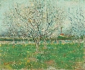 Vincent Van Gogh. Orchard in Blossom (Plum Trees).