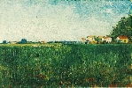 Vincent Van Gogh. Farmhouses in a Wheat Field Near Arles.